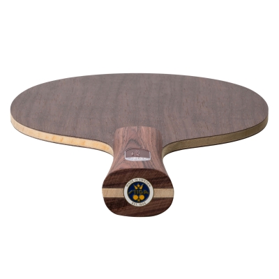 Deska STIGA Destiny Carbon – detal konstrukcji z włóknami węglowymi TeXtreme®